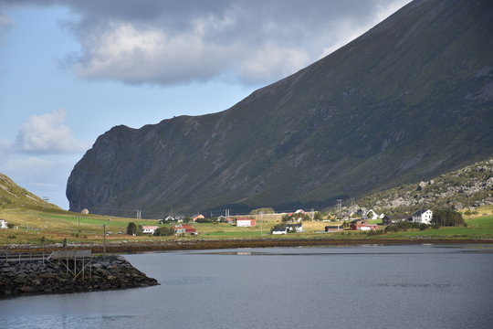 Lofoten, Flakstad, Skjelfjorden, Fjord, Stra&szlig;e, Schotterstra&szlig;e, Schaf, Schafe, weiden, Herde, Schafherde, Rast, Ufer, K&uuml;ste, Leknes, Norwegen, Gramnesv&aring;gen, Stjerntinden