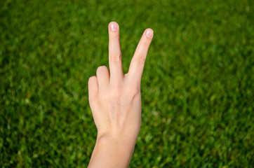 Hand making victory sign on green grass background