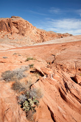 red sandstone rock formations in the Valley of Fire State Park in Nevada USA