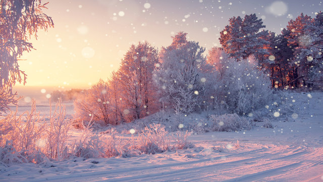 Wonderful winter morning landscape in sunrise with falling snowflakes.