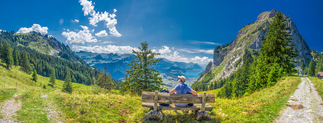 Beautiful summer landscape of Switzerland with Grosser Mythen mountain and green meadows, Ibergeregg, Switzerland, Europe