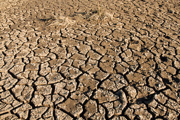 dry land, water shortages