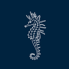 Vector illustration of white seahorse silhouette on dark blue background. Hand drawing seahorse