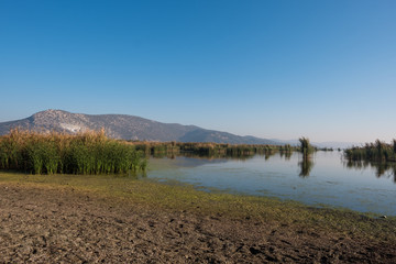 Wetlands from a Wide Angle View