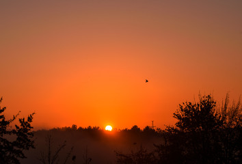 Beautiful autumn sunrise. Sunrise. Autumn sunrise Early morning beautiful autumn.