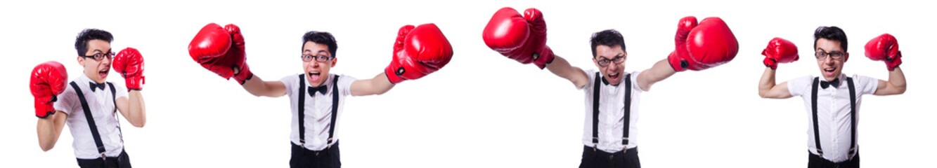 Funny boxer isolated on the white background