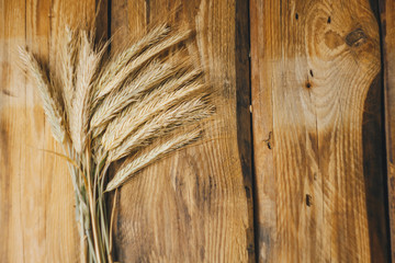 Wheat or rye spikelets on wooden background close up