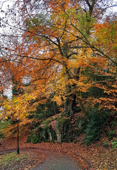 Autumn colours Malvern hills Worcestershire