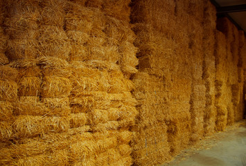 Wall of big packs of hay in the storehouse