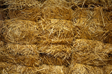 Bug bricks of yellow hay, close-up