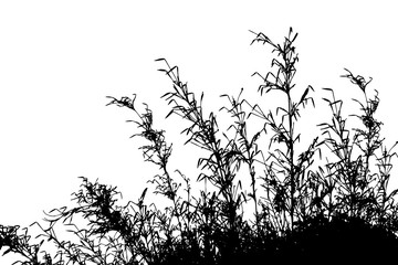 Grass silhouette isolated on white background vector