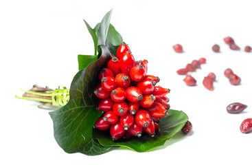 rosehips isolated on white