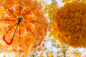 Colorful umbrella on leaves backround outside in park