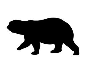 Obraz na płótnie Canvas Polar bear silhouette isolated on white background vector