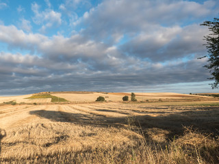 Weite Landschaft auf dem Jakobsweg in Spanien