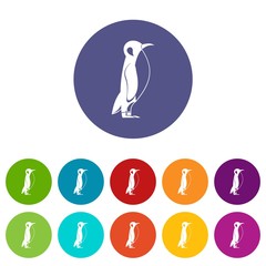 Penguin icons color set vector for any web design on white background