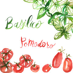Watercolor illustration, hand drawn, isolated on white background. tomato vegetables with basil leaves and lettering of basil and tomato words in italian