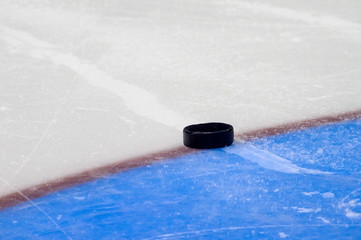Hockey puck stand on side on goal line. Close view