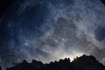 Fototapety na wymiar - Fototapeta24.pl