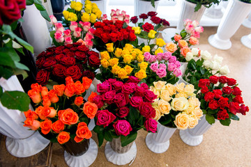 Fresh Cut Flowers And Arrangements In Florist Shop, Tracking Shot