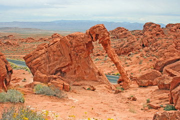 Fototapeta na wymiar Elephant Rock - Valley of Fire SP, Nevada