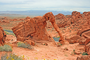 Elephant Rock  - Valley of Fire SP, Nevada