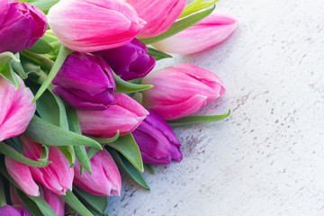 Violet fresh tulip flowers on white wooden background with copy space