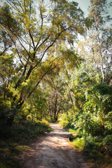 Fototapeta premium Arboles del parque cerca del rio