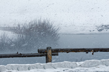 Snowy Pond