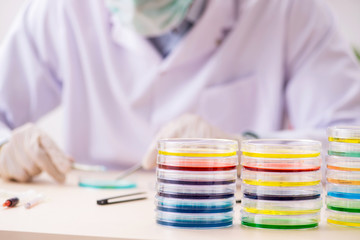 Young chemist working in the lab 