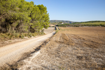 Fototapeta na wymiar a rural path next to Moixent (Mogente) town, province of Valencia, Spain