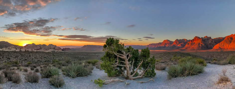 Red Rock Canyon,Nevada