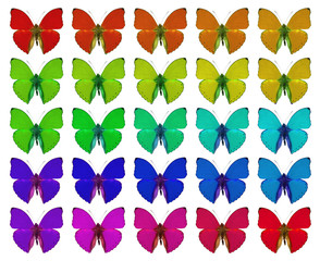 Butterflies showing concept of colors, crowd, difference, gradient, repetition