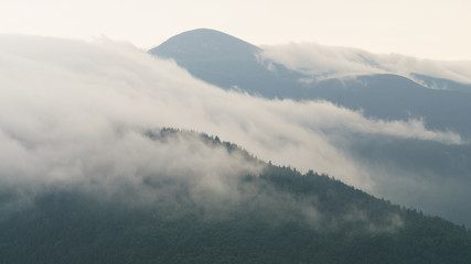 Beautiful morning panorama of forest fnd village covered by low clouds. Summer fog on the mountain hills. Misty woodland.