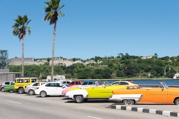 cars on the road