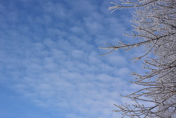winter frost. winter-tide, winter-time. a deposit of small white ice crystals formed on the ground or other surfaces when the temperature falls below freezing.