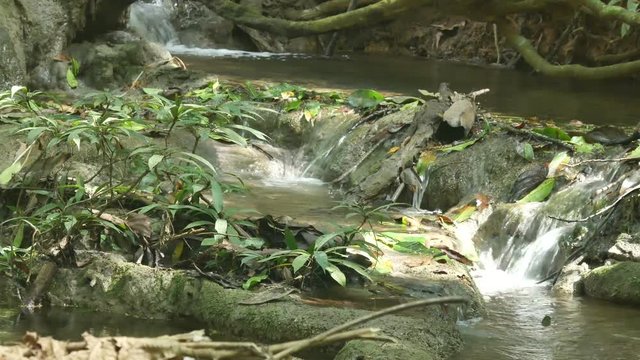 cascade of the small tropical stream