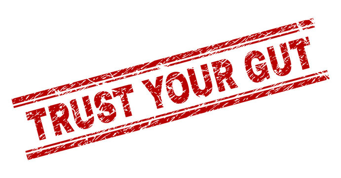 TRUST YOUR GUT seal print with distress texture. Red vector rubber print of TRUST YOUR GUT caption with corroded texture. Text caption is placed between double parallel lines.