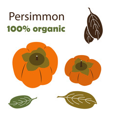 Persimmon with leaves vector illustration on white background