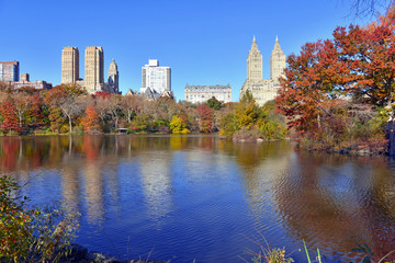 Autumn foliage in Central Park New York