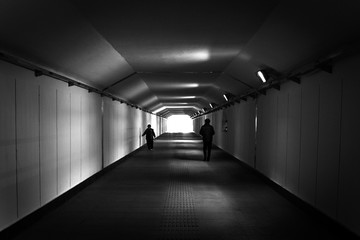 the tunnel