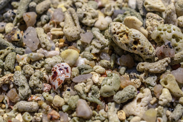 Macro pattern from pieces of sinks and corals on the beach