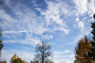  sky nature landscape clouds