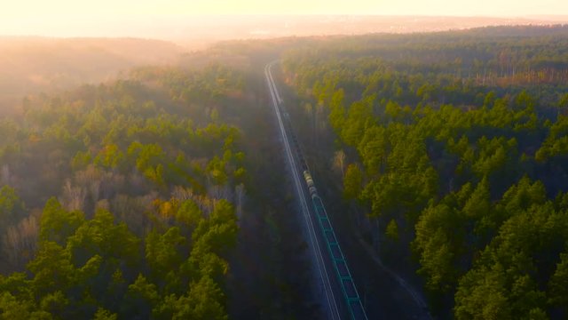 Aerial following shot of a freight train moves through the autumn pine forest at sunset. Back view