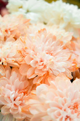 Bouquet of Salmon Color and White Chrysanthemum or Golden-Daisy