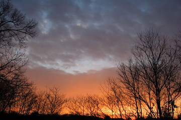 Obraz premium Sunrise