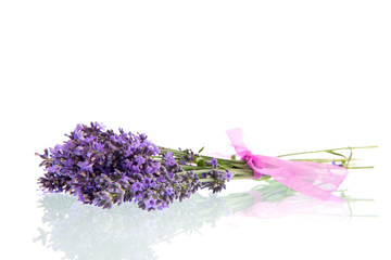 Bouquet Lavender on white background