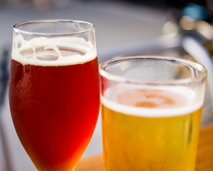 Glass of Craft Beer and Cider