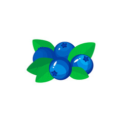 Cartoon fresh blueberries icon isolated on white