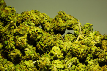 Close up of a large pile of marijuana buds showing vibrant greens and red hairs.